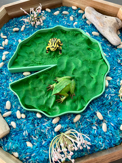 Lilly-Pad EcoTray || Pond