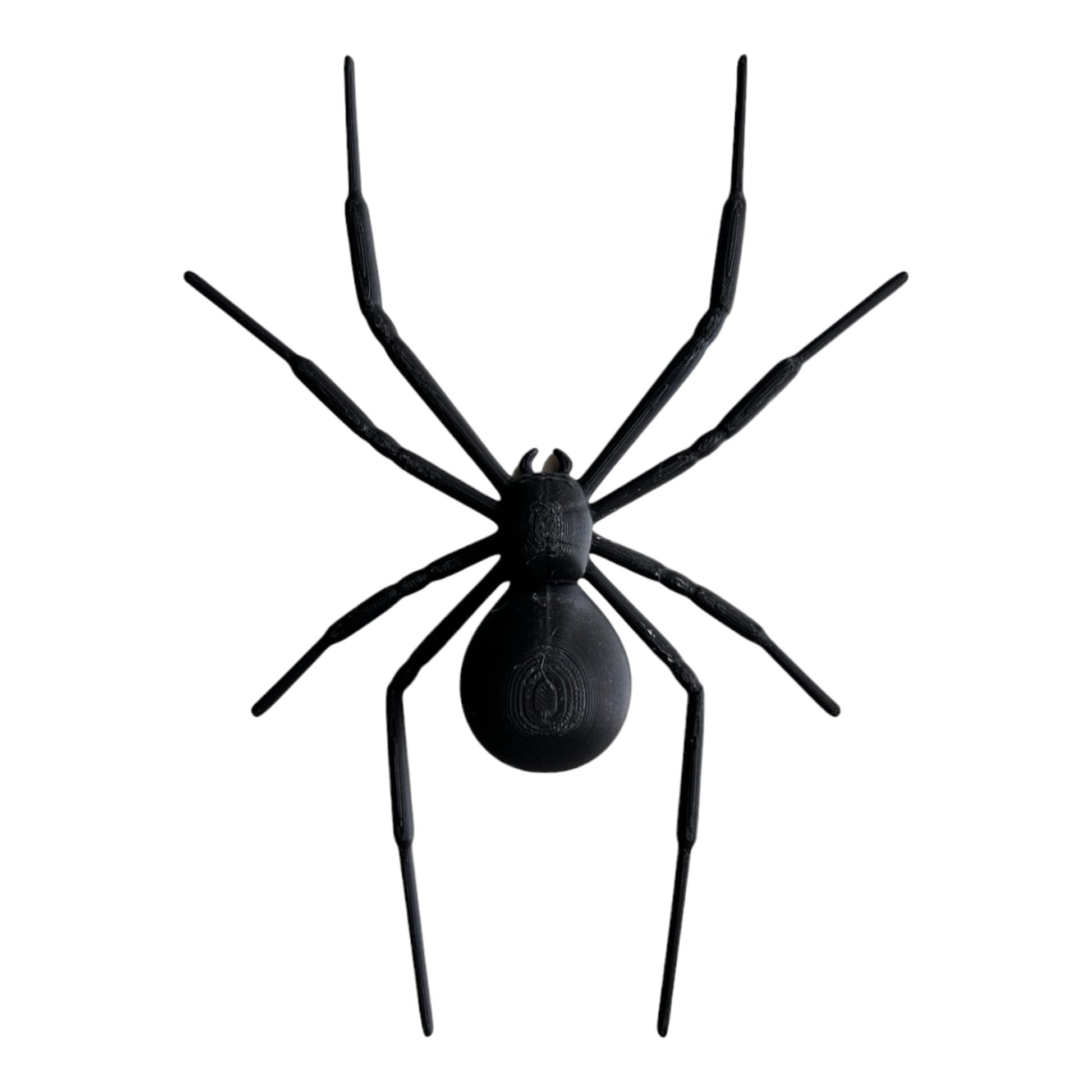 Black Widow Spider Play Mold - CJECOPLAY Inc.