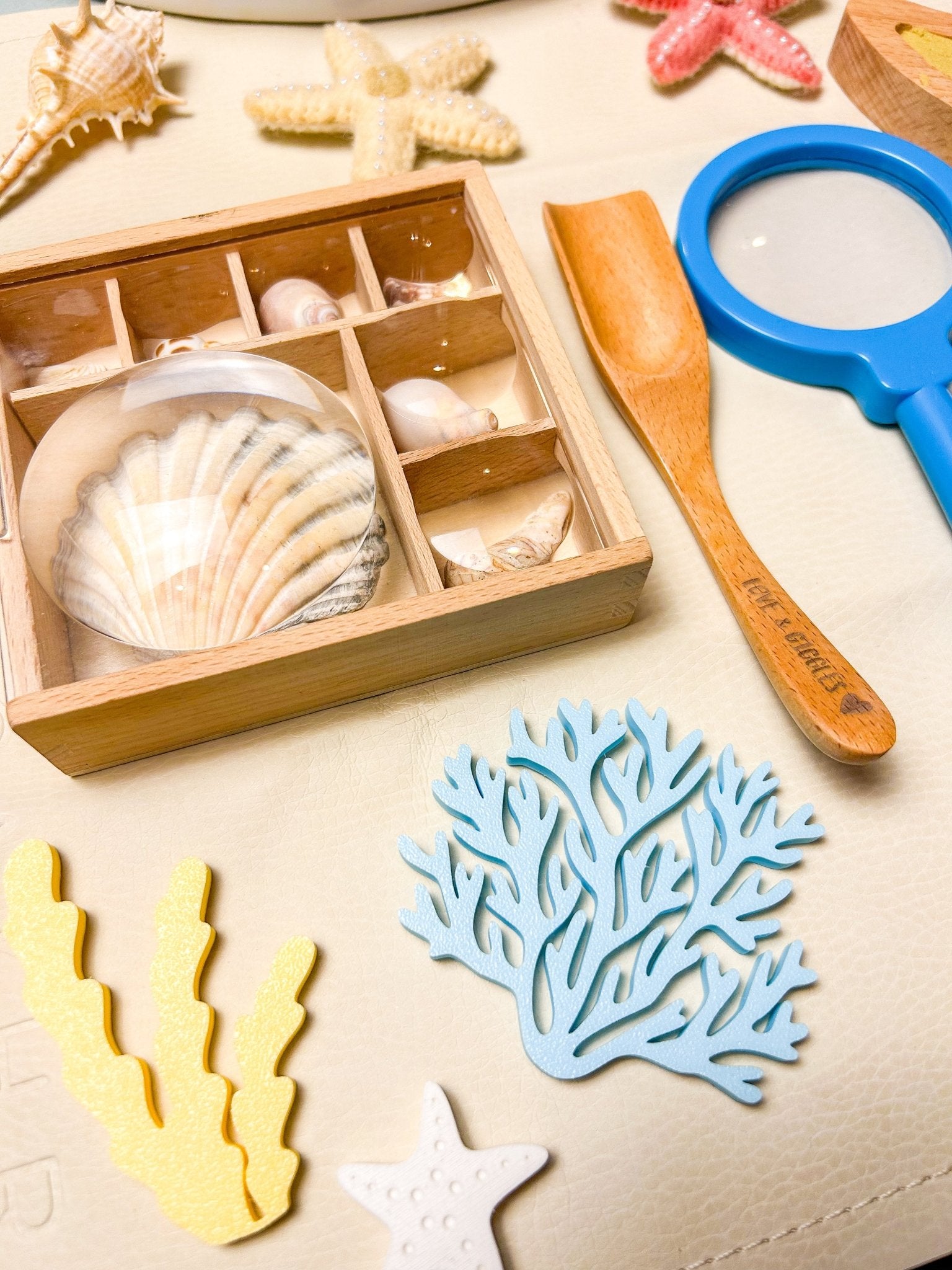 Coral Loose Parts - CJECOPLAY Inc.