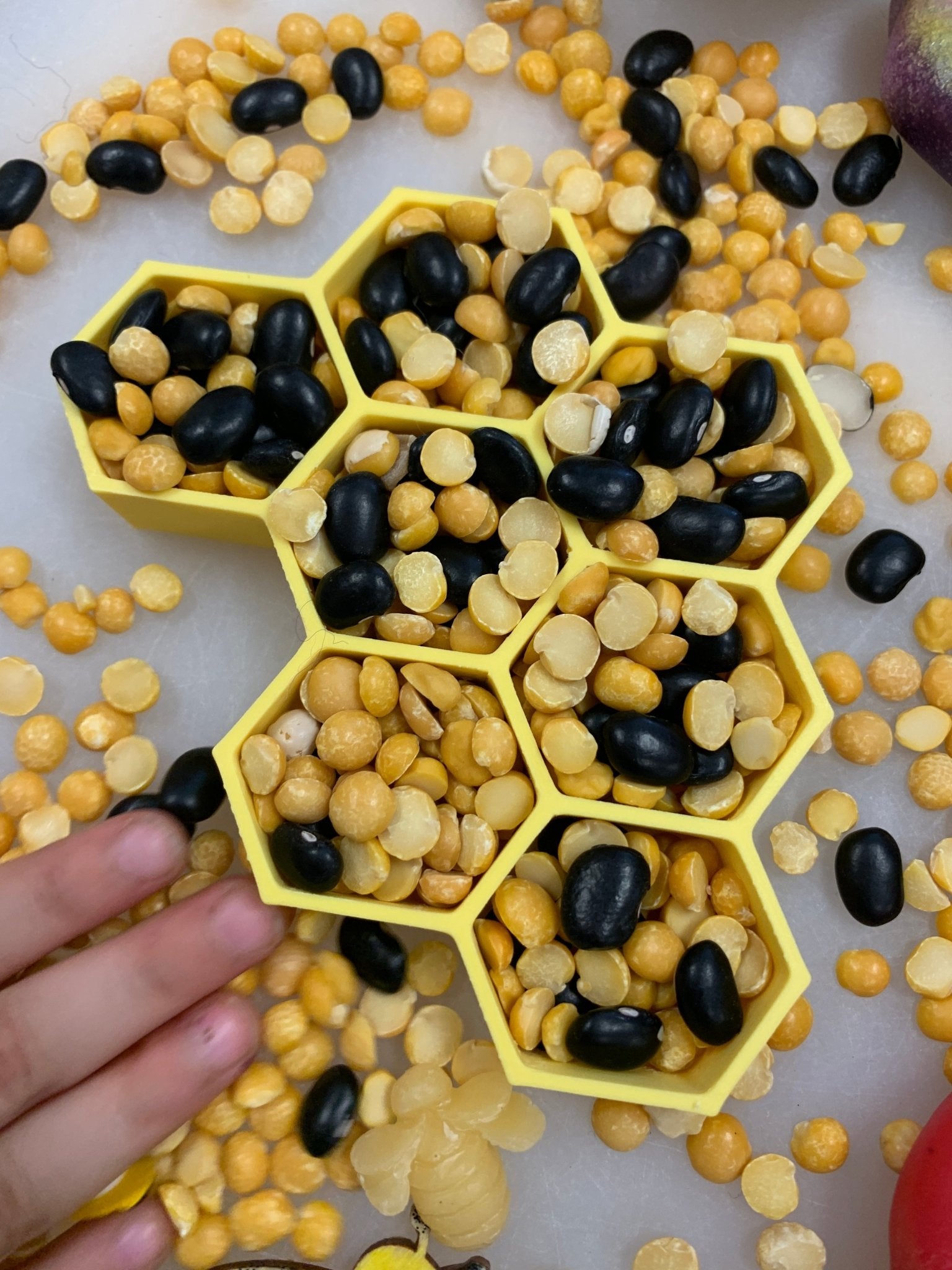 Honey Comb 3D printed Eco - Friendly - Sensory Tray - CJECOPLAY Inc.