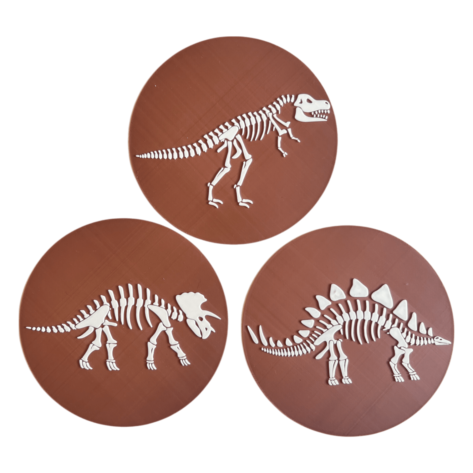 NEW - Dino Skeleton Insert Bundle (QTY 3) - CJECOPLAY Inc.