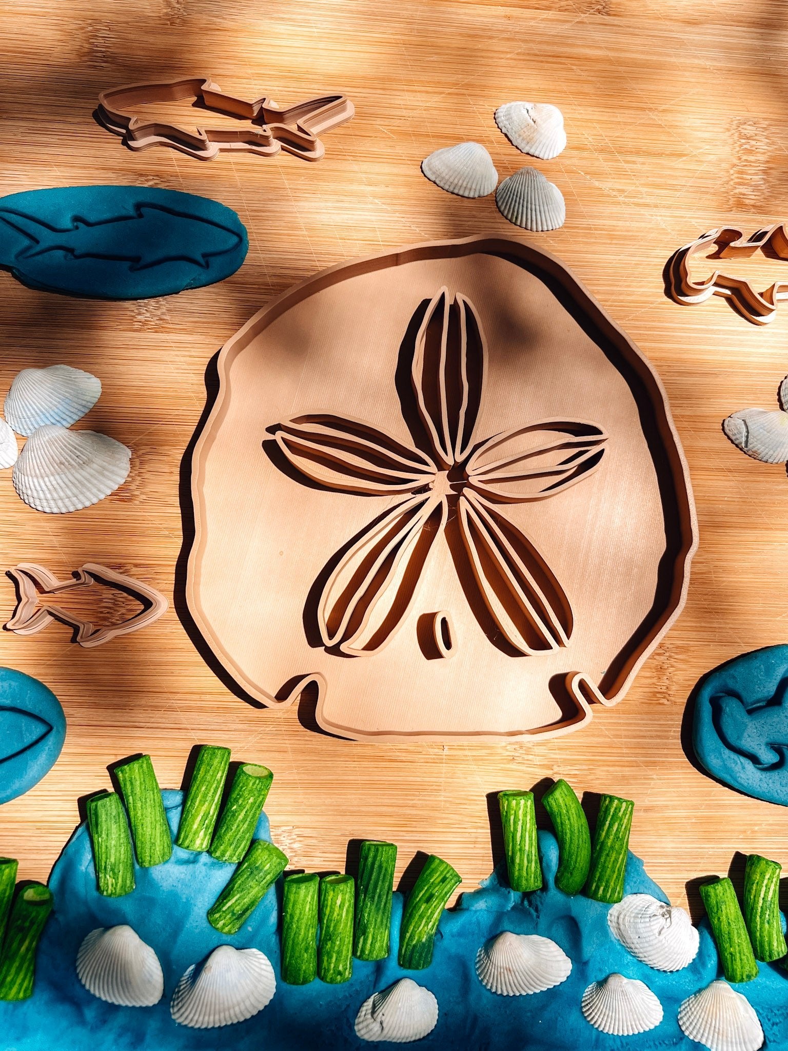 Sand Dollar EcoTray - CJECOPLAY Inc.