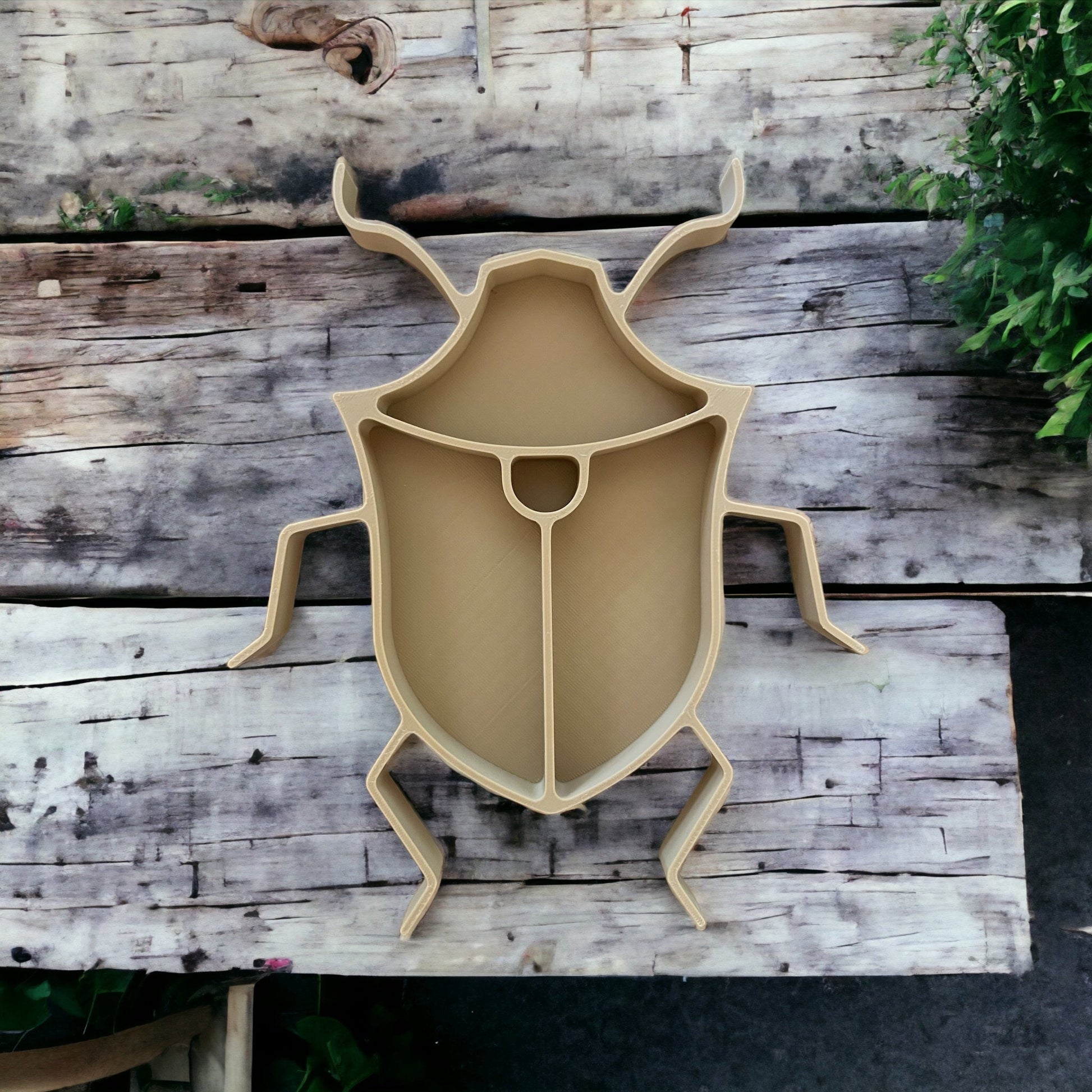 Stink Bug || Beetle || Insect EcoTray - CJECOPLAY Inc.