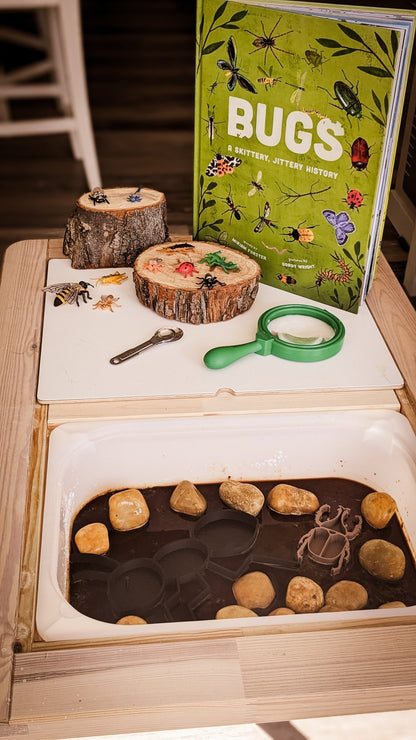 Stink Bug || Beetle || Insect EcoTray - CJECOPLAY Inc.